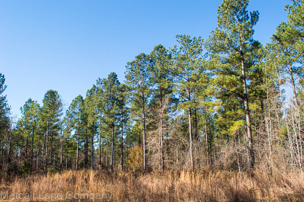 56 Acres In Union County Metcalf Land Company Inc
