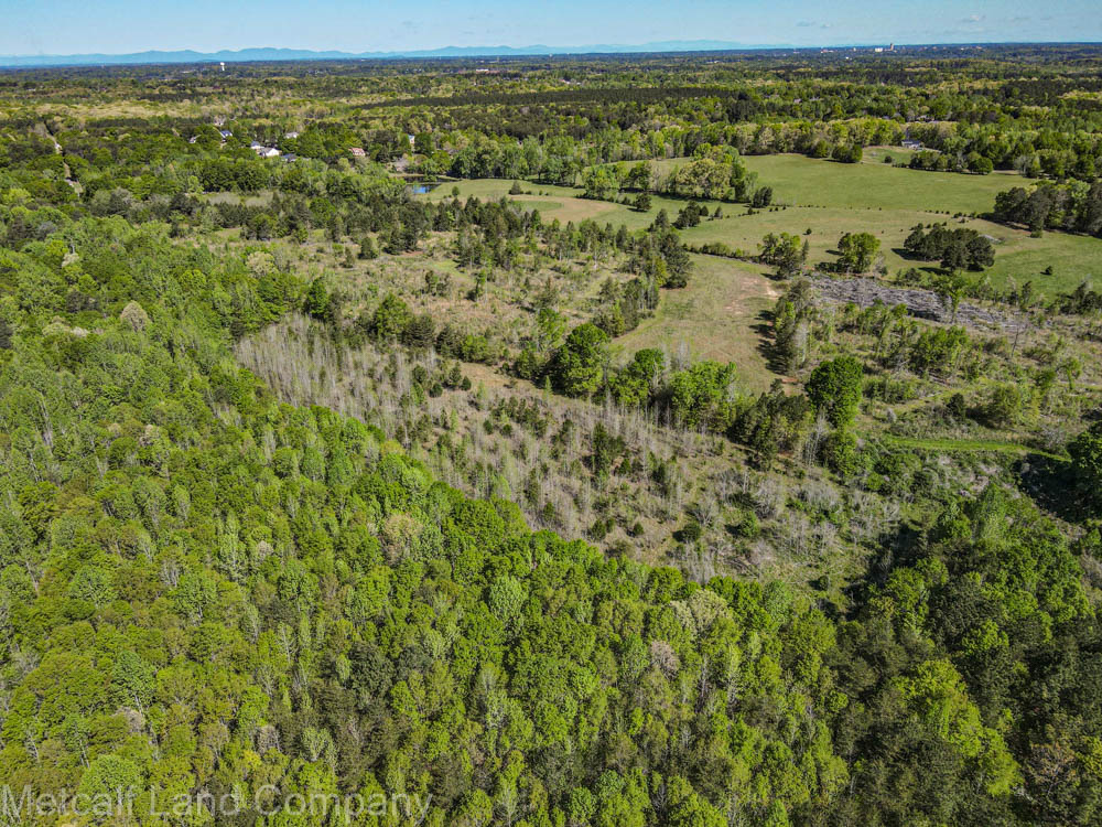 Aerial shot of land for sale in South Carolina 