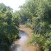 55+/- Acres With River Front in Campobello