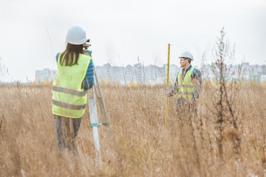 New landowners surveying their land and deciding on how maintain their acreage