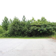 Commercial Site in Sought After Duncan, SC at S Danzler Rd, Duncan, SC 29334, USA for 2678750
