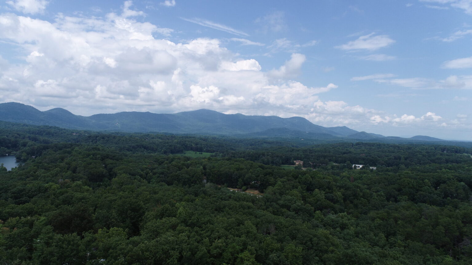 A Natural Sanctuary in Lake Lanier Metcalf Land Company Inc