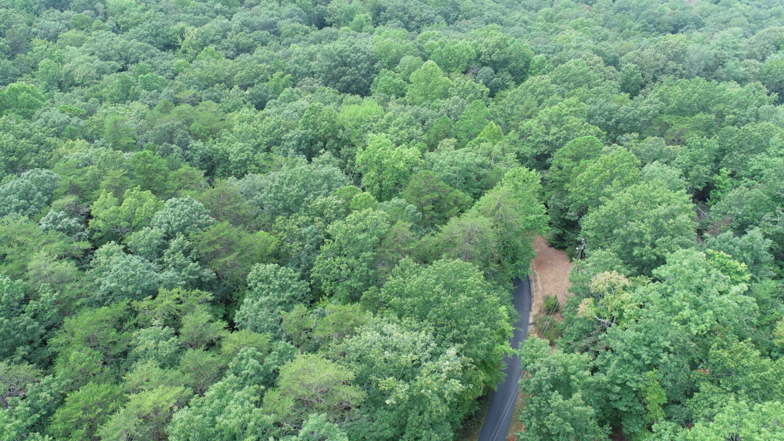 A Natural Sanctuary in Lake Lanier Metcalf Land Company Inc