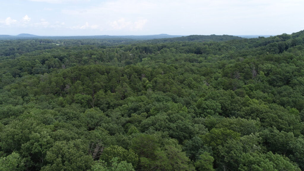 A Natural Sanctuary in Lake Lanier Metcalf Land Company Inc