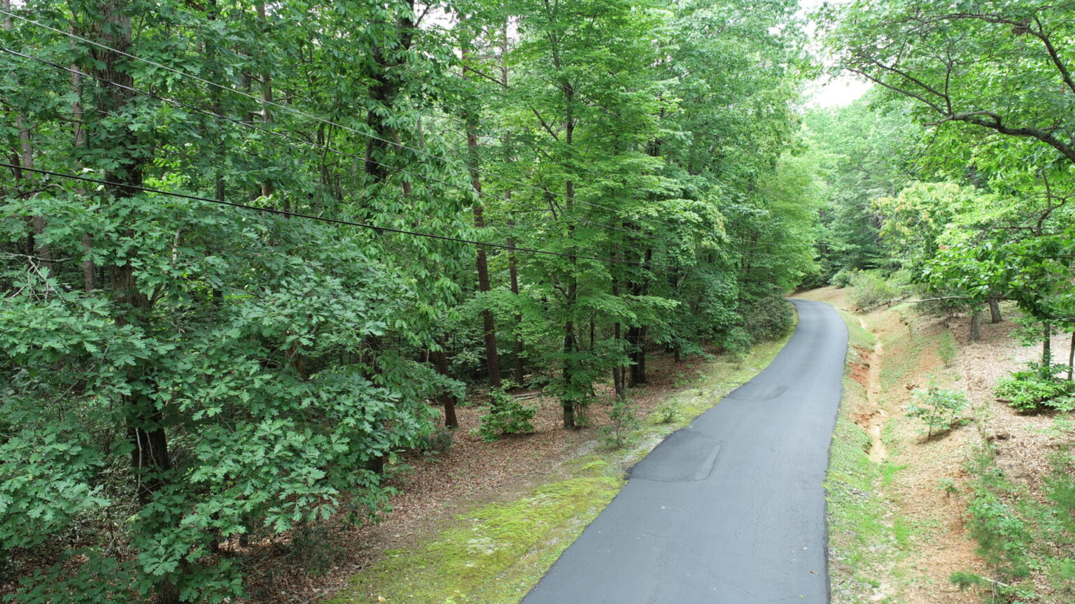 A Natural Sanctuary in Lake Lanier Metcalf Land Company Inc