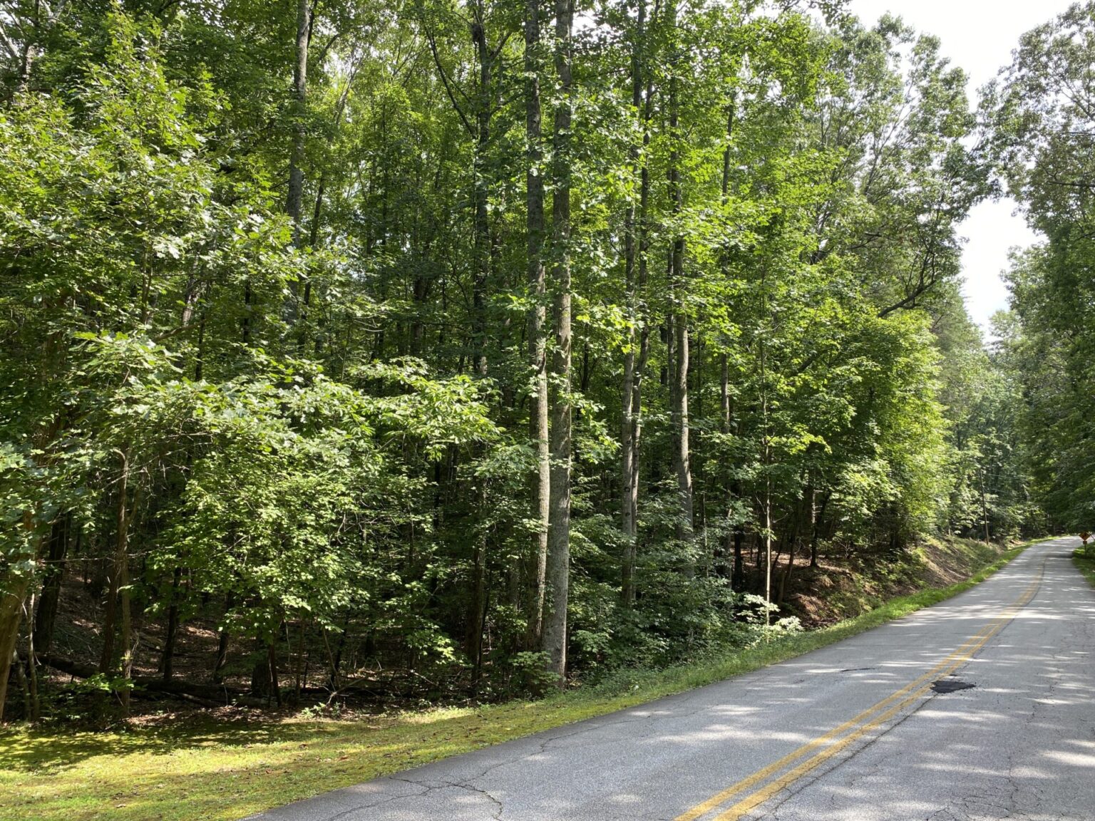 A Natural Sanctuary in Lake Lanier Metcalf Land Company Inc