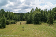 25 Acre Homesite in Glenn Springs w/ Creek