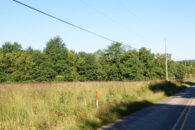 40 Acre Prime Development Tract in Greer off Hwy 101
