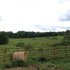 20 Acre Development Tract in Greer off Hwy 101 at 1385 Kist Rd, Greer, SC 29651, USA for $68,000