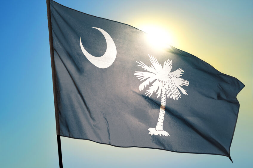State of South Carolina flag waving in the wind under the sunlight