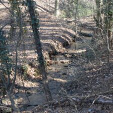 6.55+/- Acre Home Site in Mill Springs at 2708 NC-9, Mill Spring, NC 28756, USA for 97595