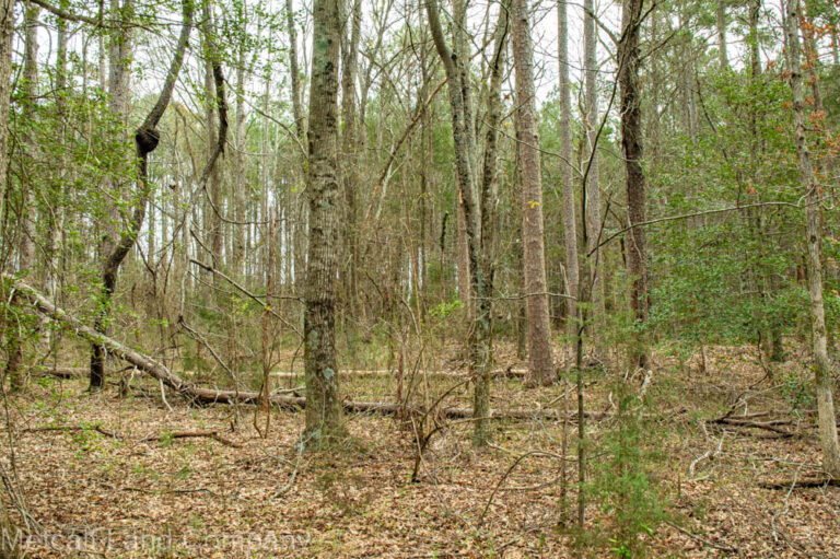 Wooded Residential Lot Near Lake Blalock Metcalf Land Company Inc