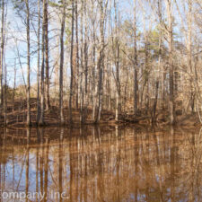 15 Acre Homesite off Union Hwy with Pond! at SC-18, Gaffney, SC, USA for 6000
