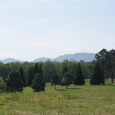 10 Acre Estate Tract w/ Mountain and River Views in Gated Vanderbilt Farms at 580 Bascule Rdg Ln, Campobello, SC 29322, USA for 332480