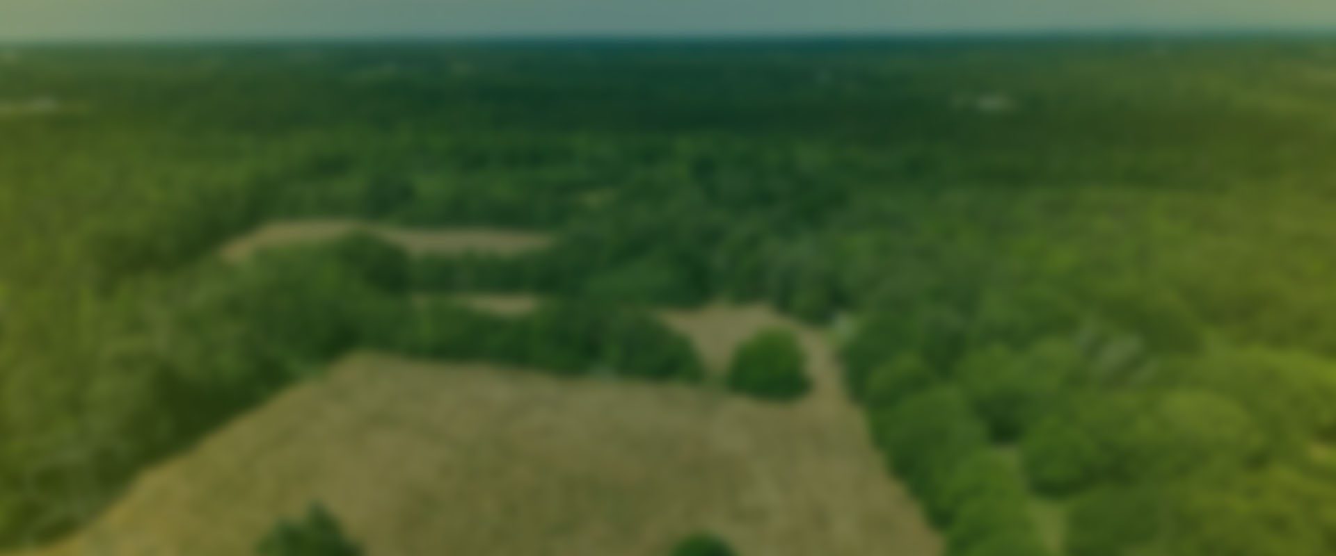 Properties & Acreage Land for Sale Upstate South Carolina Metcalf Land Company Inc