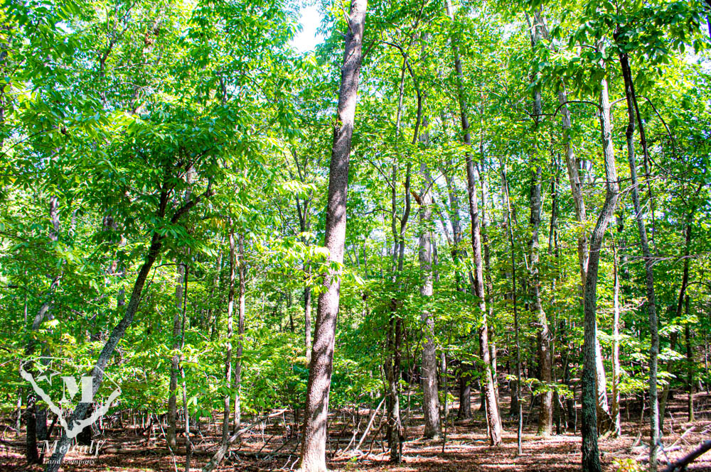 82 Acres in Hunting Country near Tryon, NC Metcalf Land Company Inc