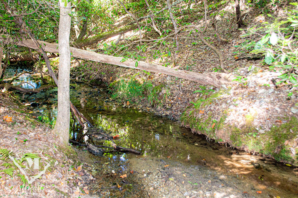 82 Acres in Hunting Country near Tryon, NC Metcalf Land Company Inc