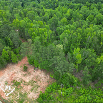 7+/- Acre Homesite in Woodruff w/ Creek