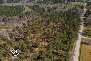 Wooded Mini-Farms Located Near Pacolet