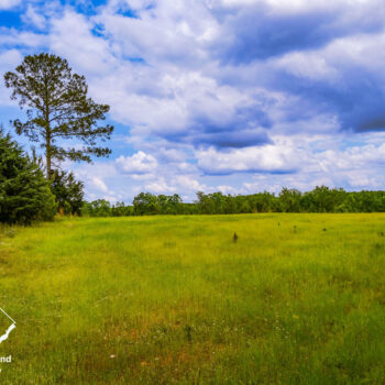 345 Acre Recreational Tract on the Tyger River