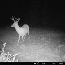 1 Hunting/Retreat Tracts