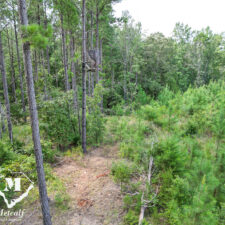 default Hunting/Retreat Tracts
