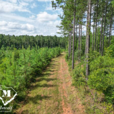 default Hunting/Retreat Tracts