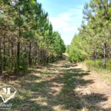 default Hunting/Retreat Tracts