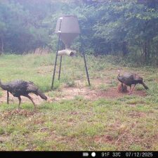 3 Hunting/Retreat Tracts
