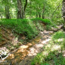 default Hunting/Retreat Tracts