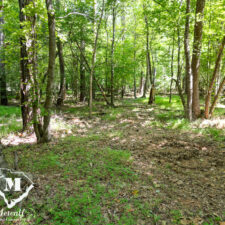default Hunting/Retreat Tracts