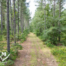 default Hunting/Retreat Tracts