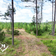 default Hunting/Retreat Tracts