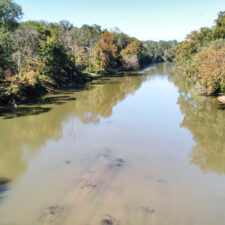 50 Acres on the Broad River
