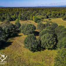 48 Acres in Campobello