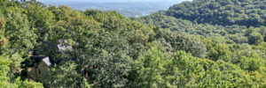 3+ Acres in Cliffs of Glassy