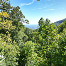 3+ Acres in Cliffs of Glassy