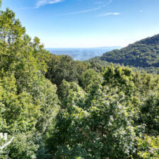 3+ Acres in Cliffs of Glassy