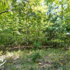 3+ Acres in Cliffs of Glassy