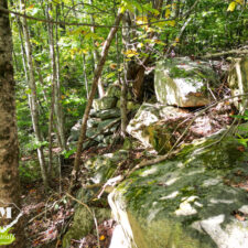 3+ Acres in Cliffs of Glassy