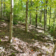 3+ Acres in Cliffs of Glassy