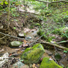 3+ Acres in Cliffs of Glassy