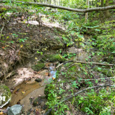 3+ Acres in Cliffs of Glassy