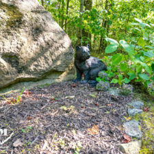 3+ Acres in Cliffs of Glassy