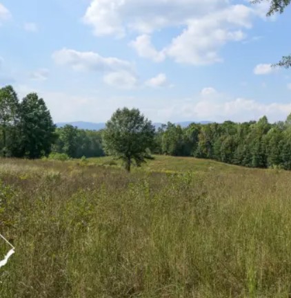 Potential country home site in Upstate South Carolina 