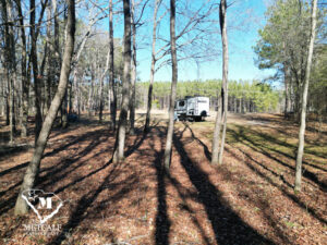 default 8.42 Acre Wooded Homesite In Woodruff, SC
