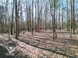 default 8.42 Acre Wooded Homesite In Woodruff, SC