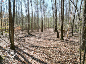 default 8.42 Acre Wooded Homesite In Woodruff, SC