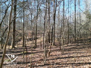 default 8.42 Acre Wooded Homesite In Woodruff, SC