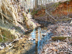 default 8.42 Acre Wooded Homesite In Woodruff, SC